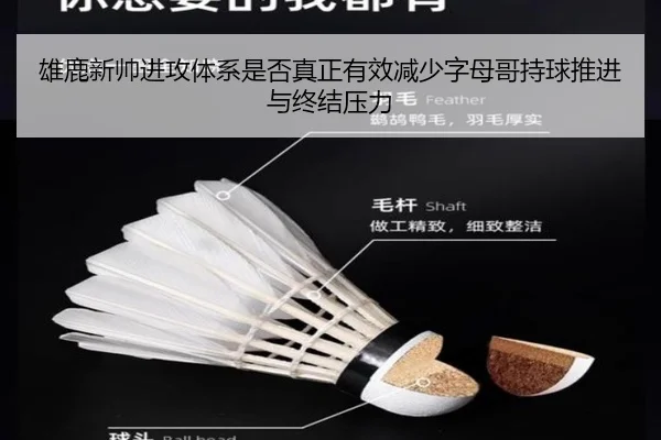 雄鹿新帅进攻体系是否真正有效减少字母哥持球推进与终结压力