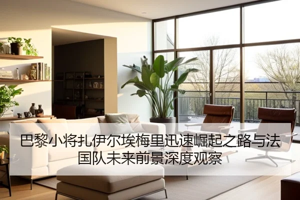巴黎小将扎伊尔埃梅里迅速崛起之路与法国队未来前景深度观察